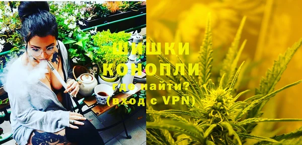 стаф Волосово