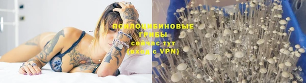 герыч Володарск