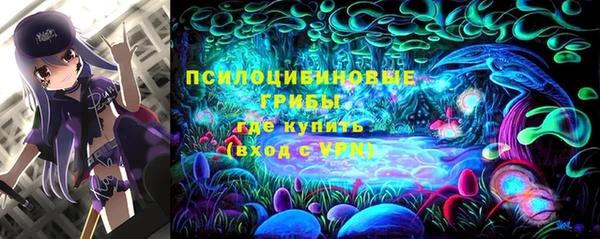 стаф Волосово