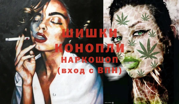 СК Вяземский