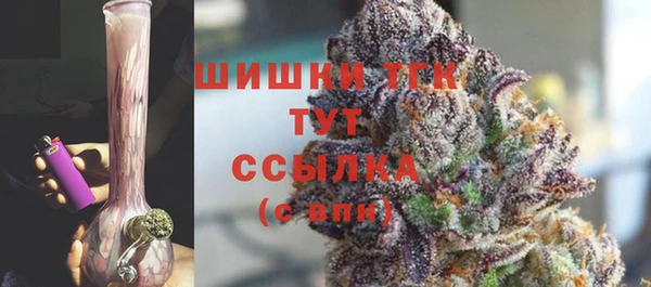 СК Вяземский