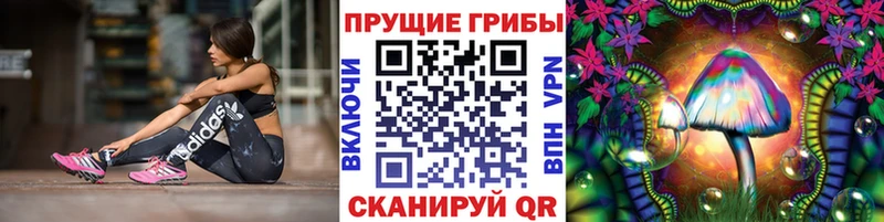 кракен ТОР  Гусиноозёрск  Псилоцибиновые грибы Psilocybine cubensis  купить наркотик 